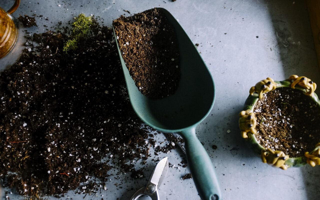 Gardening & Landscaping